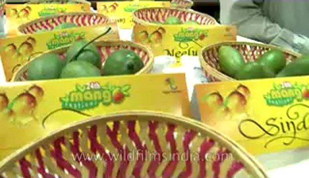Mango festival-dilli haat-pitampura-4.flv
