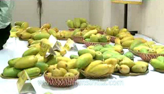 Mango festival-dilli haat-pitampura-7.flv