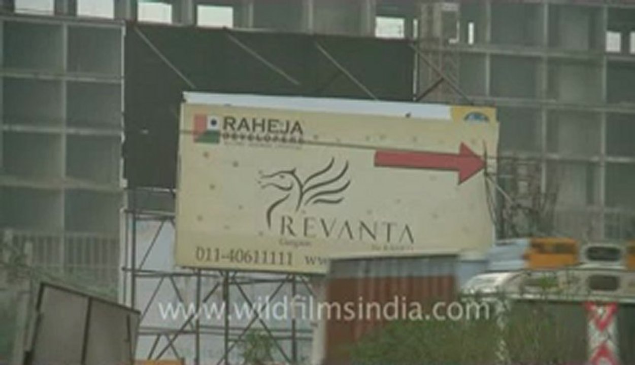 Maruti-27.flv