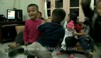 Mizoram-largest family-Funny children-1.flv