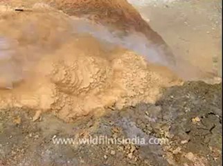 Nanda Devi-Digi Beta-122-1-Hot water Spring-2.flv