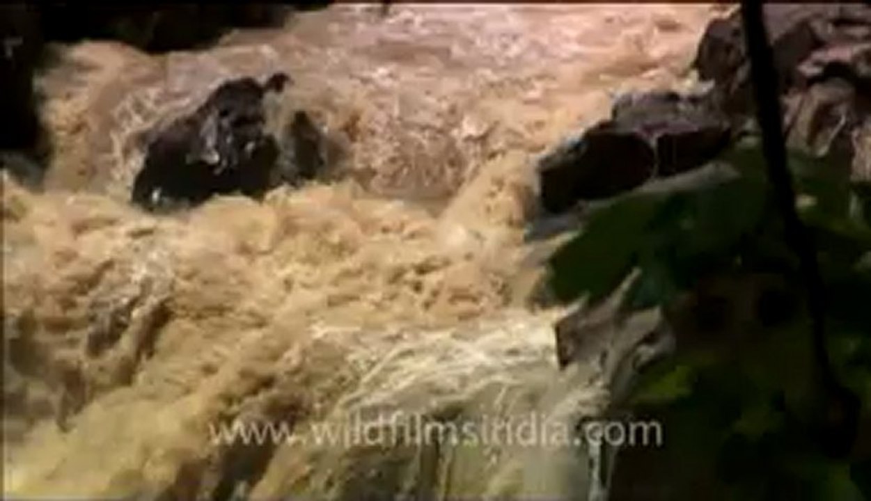 Panna-waterfall-hdc-8-1.flv