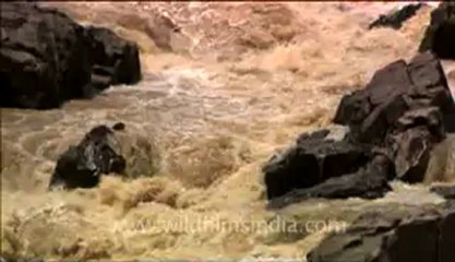 Panna-waterfall-hdc-8-2.flv