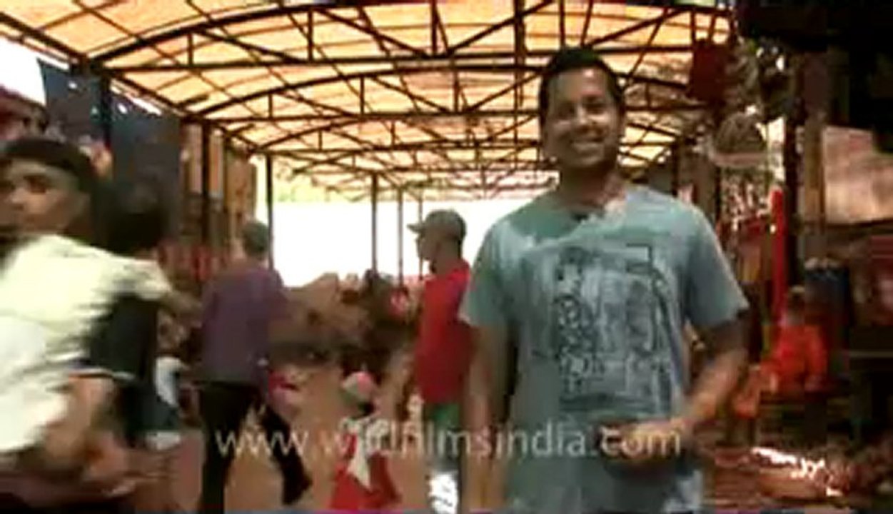 Piece to camera-5.flv