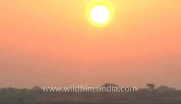 Rann-of-kutch-hdv-tape-12-sunrise-1.flv