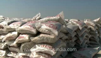 Rann-of-kutch-hdv-tape-13-Packing of salt-1.flv