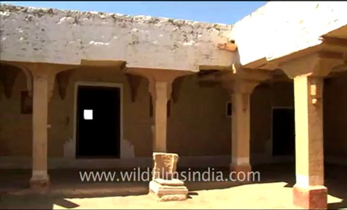 Rajasthan_146.flv