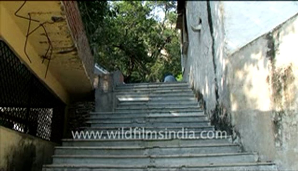 Rajasthan_20.flv