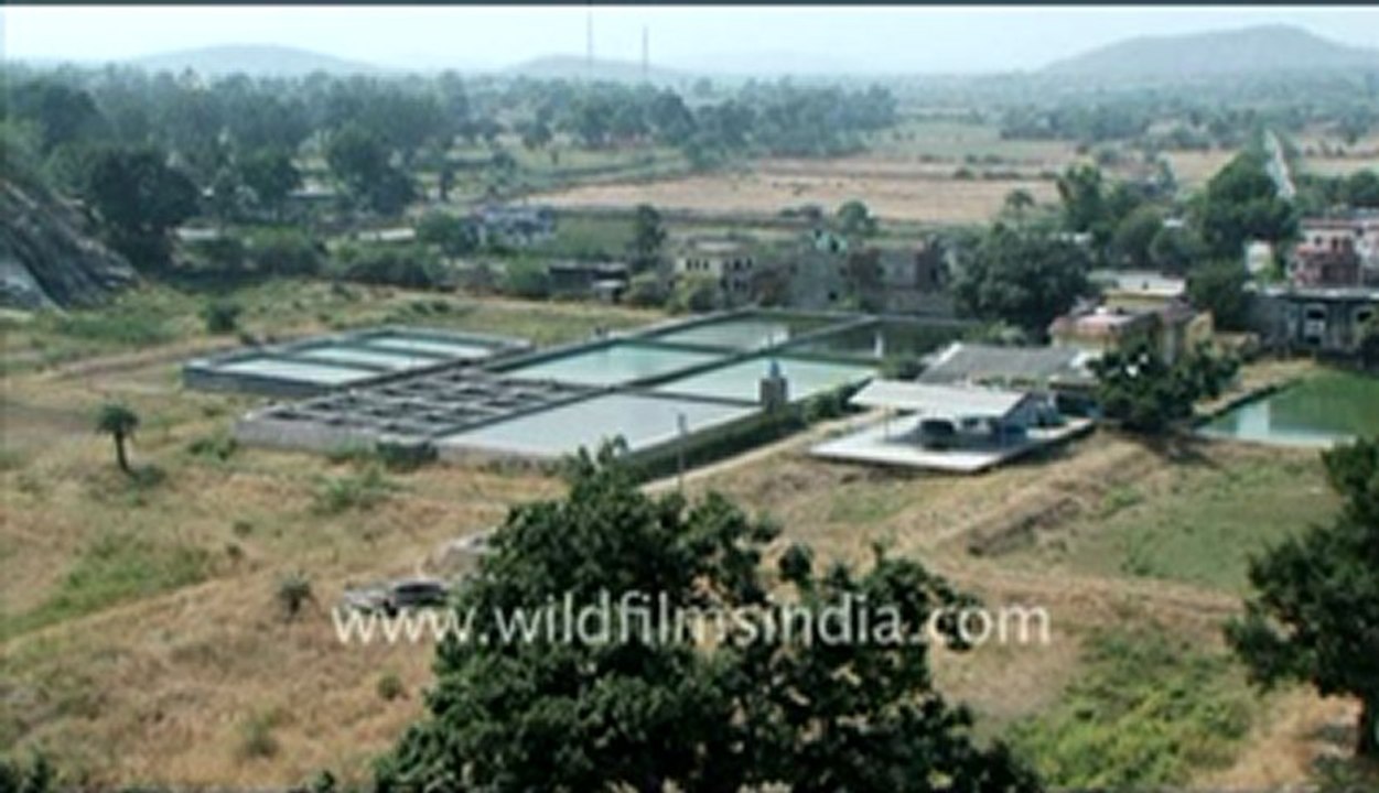 Rajasthan_3.flv