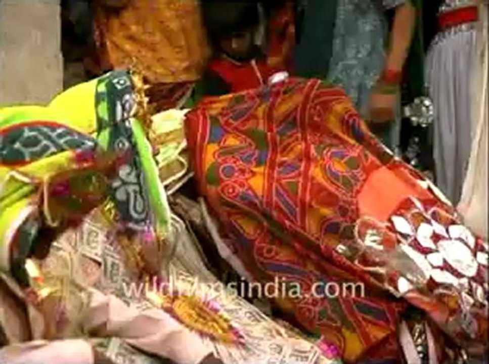 Rajasthan_57.flv
