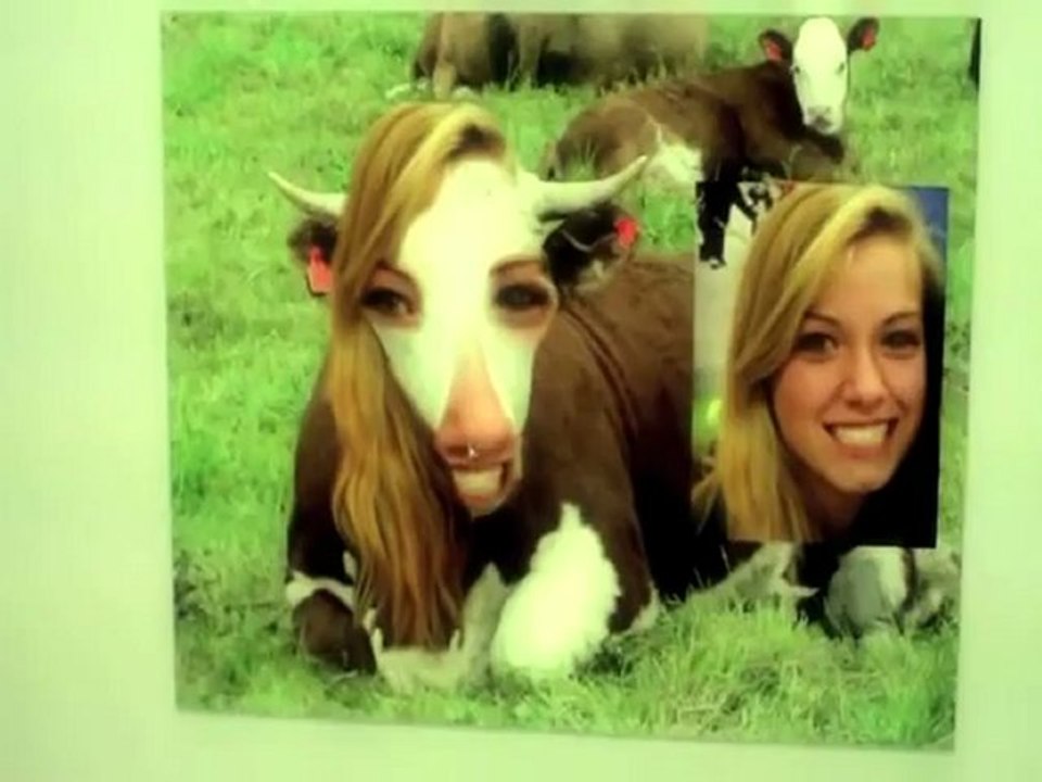 Anti Bully programs Indianapolis speaker tip.