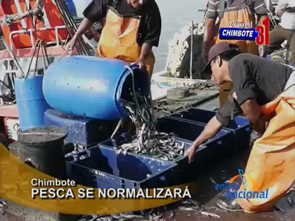 Ancash Minicuota de pesca llega a su fin segun DIREPRO