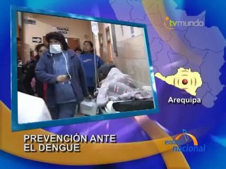 Arequipa Elaboran plan de prevencion ante casos de dengue