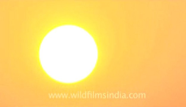 Rann-of-kutch-hdv-tape-4-Sunrise-1.flv