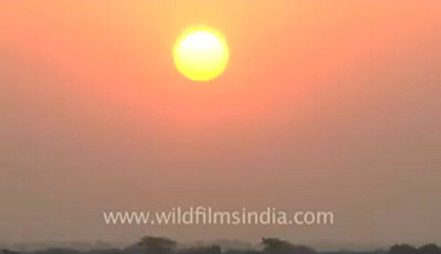 Rann-of-kutch-hdv-tape-5-sunrise-1.flv