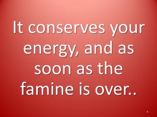 Can A Weight Problem Be Cured For Good?