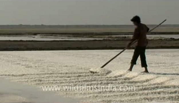 Rann-of-kutch-hdv-tape-6-salt workers-2.flv