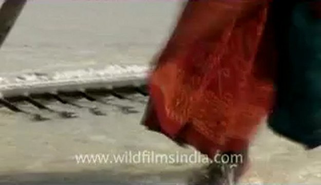 Rann-of-kutch-hdv-tape-7-crystallization of salt-1.flv