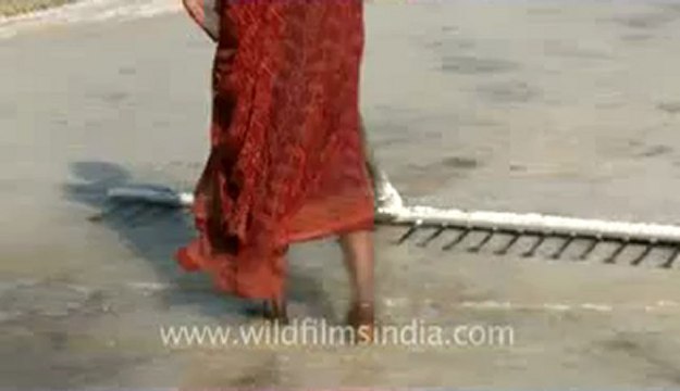 Rann-of-kutch-hdv-tape-7-crystallization of salt-2.flv