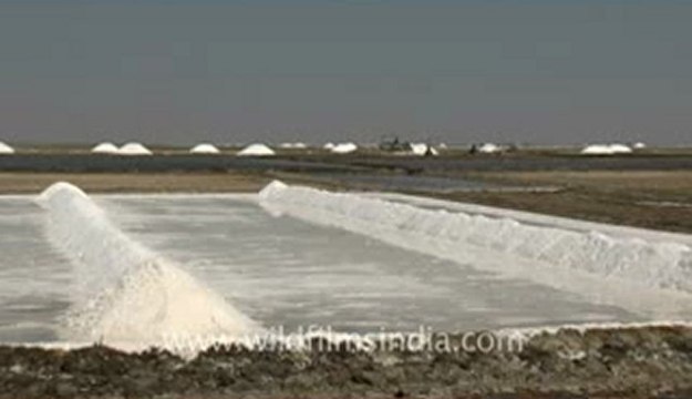 Rann-of-kutch-hdv-tape-7-crystallization of salt-3.flv