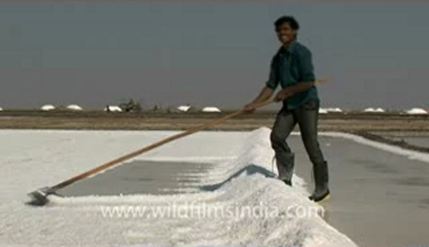 Rann-of-kutch-hdv-tape-7-crystallization of salt-5.flv