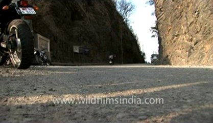 Rhick-KV-Z1-hdv-99.flv