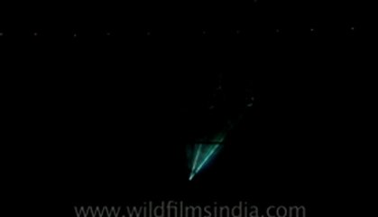 Russian circus show-hdv-411-1.flv