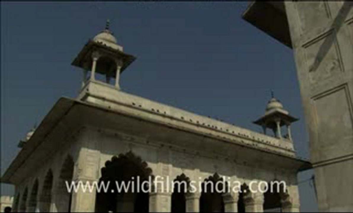 Sariska_HDC_45_4.flv
