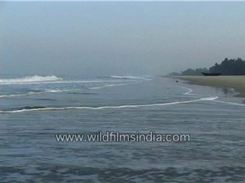 Seashore-MPEG-4 800Kbps.mp4
