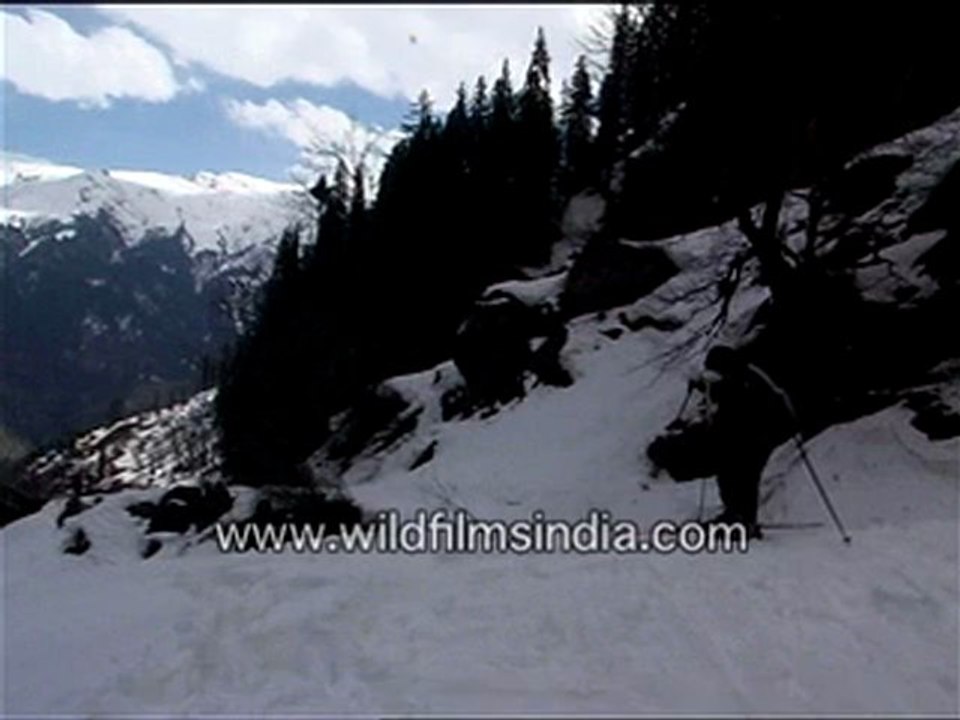 Skiing-MPEG-4 800Kbps.mp4