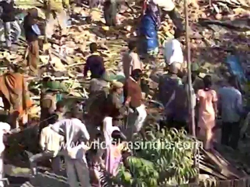 Slums in delhi_3.flv