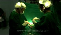 Surgery of Fibroid in Breast-hdv-fx-1-01-13.flv