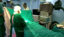 Surgery of Fibroid in Breast-hdv-fx-1-01-25.flv