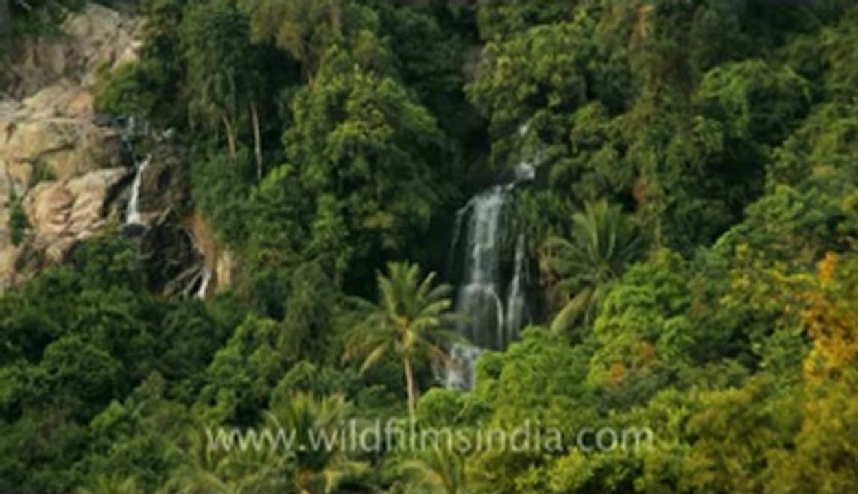 Thailand-Koh Samui-4.flv
