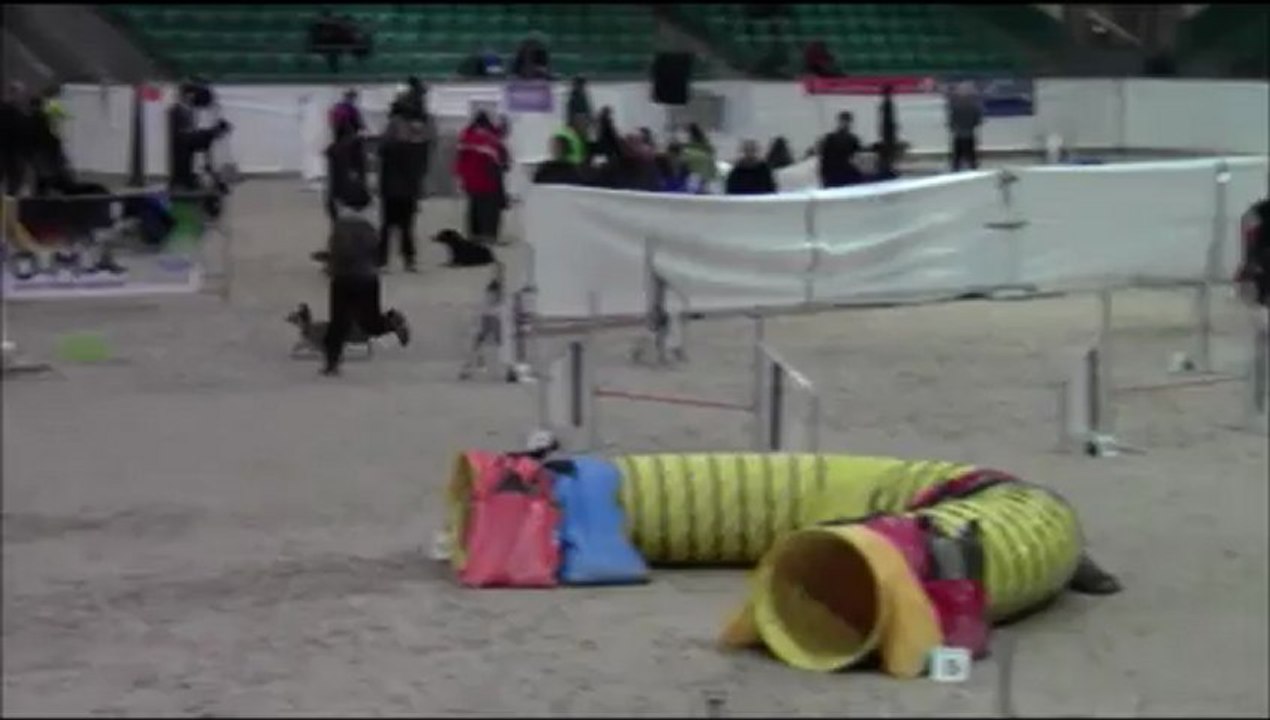 B.A.C.K. 2013 Läufe von Kiwi