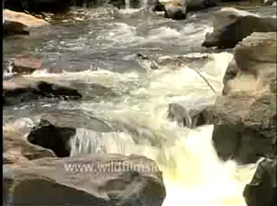 Waterfall-South india-5.flv