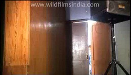 We're no monks-10.flv