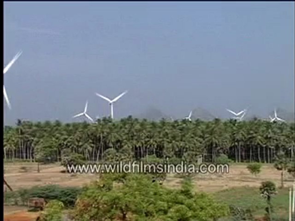Windmills in Kerala