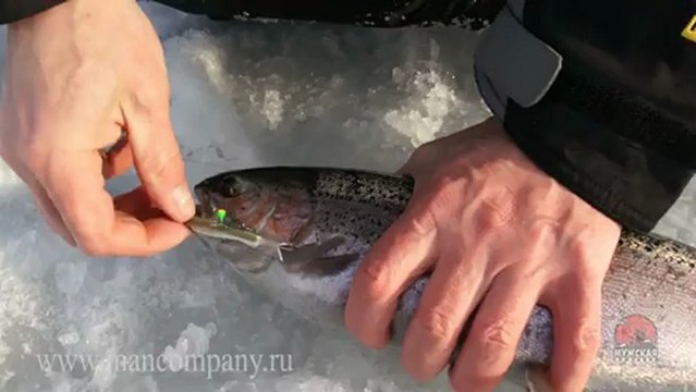 МК : Ловля форели на балансир видео Full HD