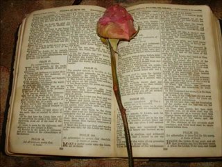 TONY PRITCHETT &  DEBBIE ANDERSON (a rose in a bible)