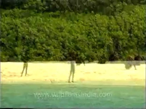 andamans&nicobar-4-3.flv