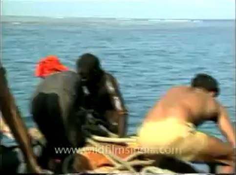 andamans&nicobar-7-4.flv