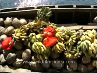 andamans&nicobar_2-1.flv