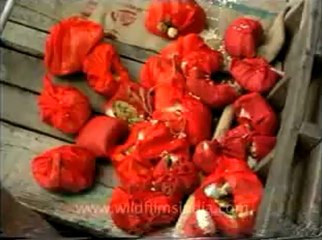 andamans&nicobar_2-2.flv