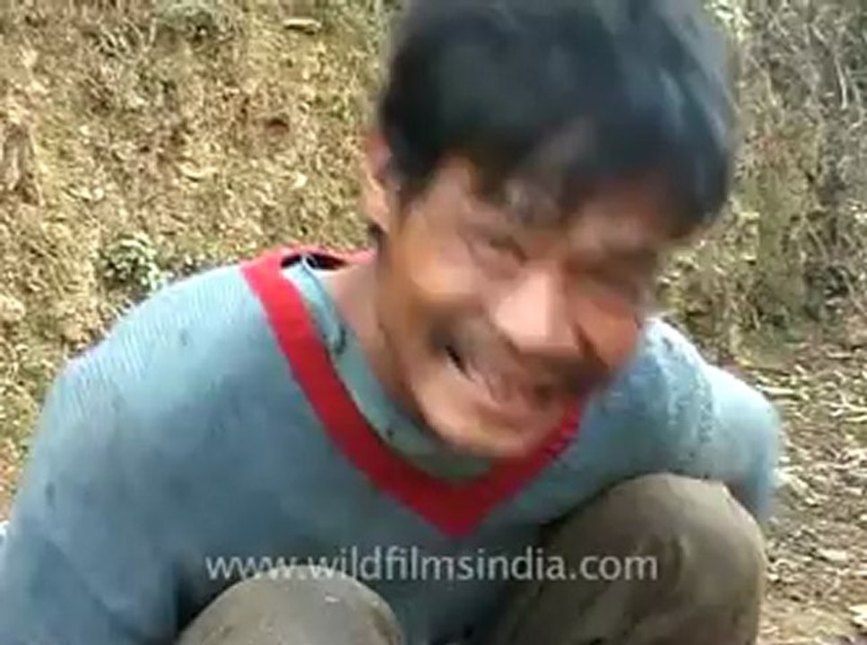 animal slaughter-6.flv