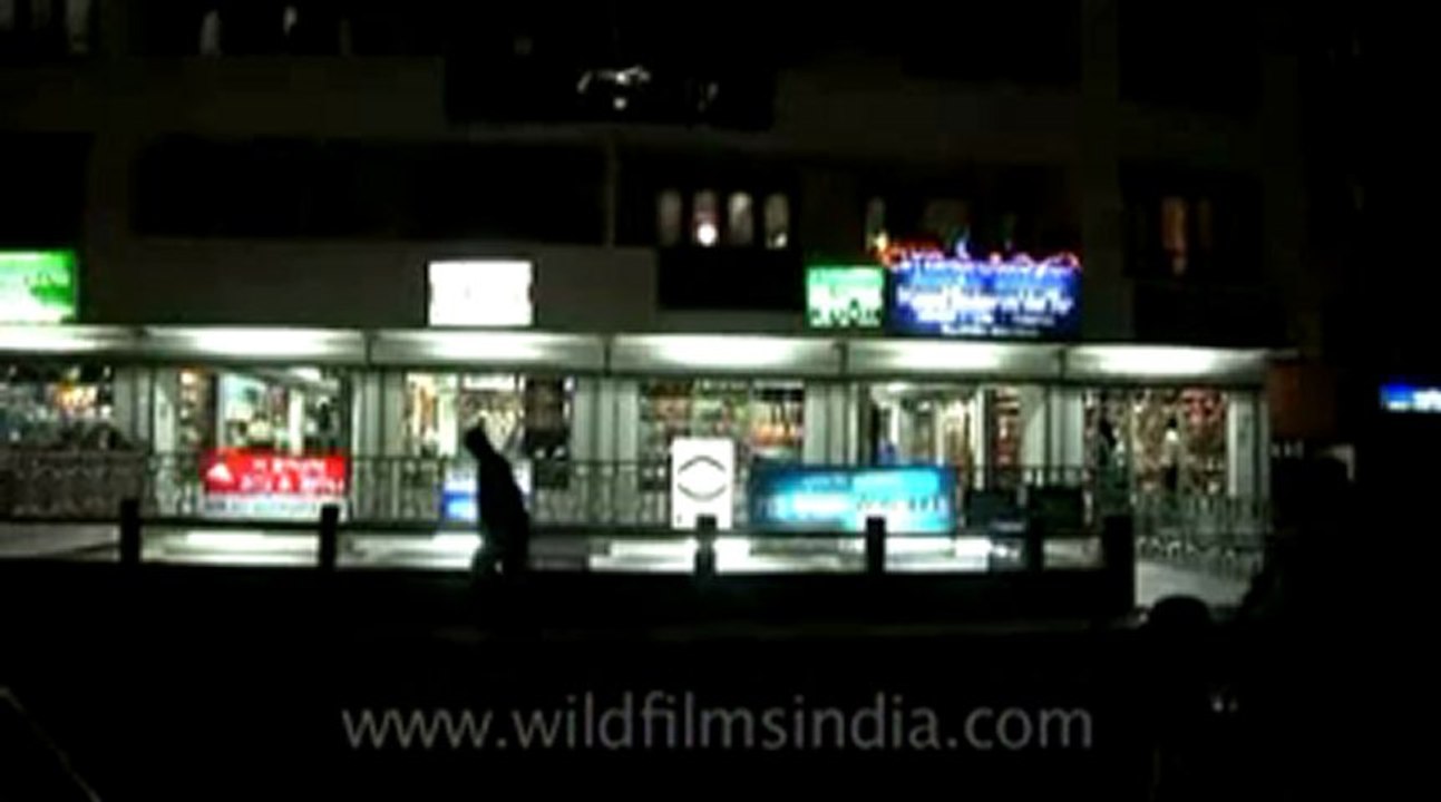 bhutan-thimphu-10.flv