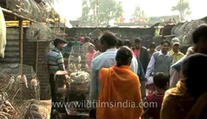 bihar-sonepur fair-hdv-269-17.flv