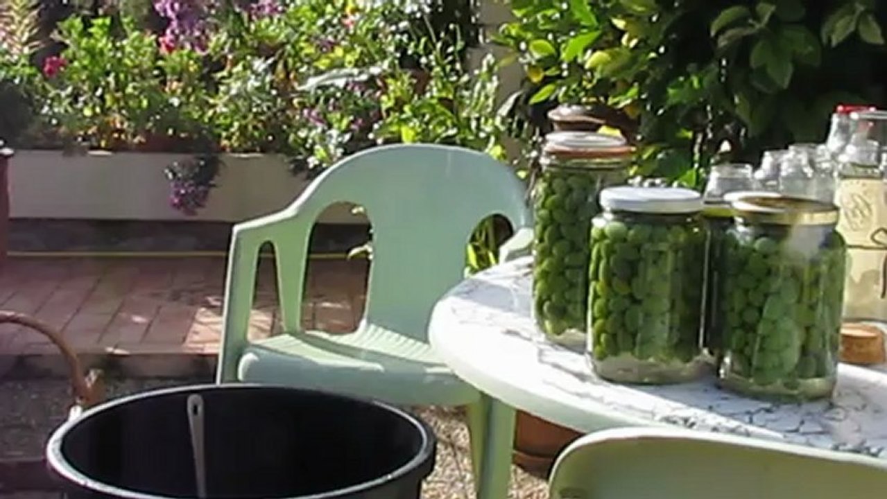 cueillette des olives 002