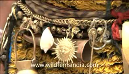 blinkx-Valley of flowers-hdv-1-1.flv