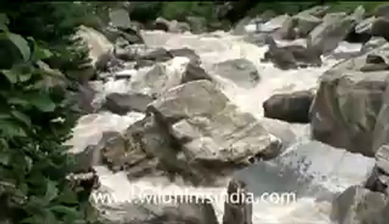 blinkx-Valley of flowers-hdv-3-2.flv